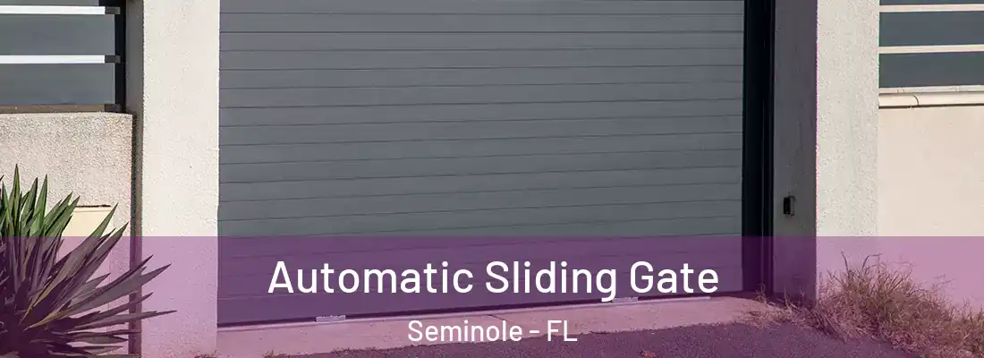 Automatic Sliding Gate Seminole - FL