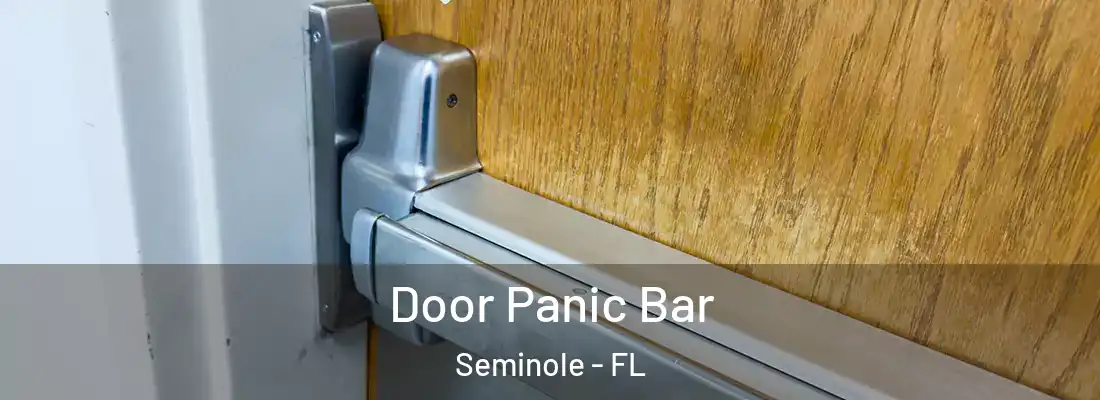 Door Panic Bar Seminole - FL