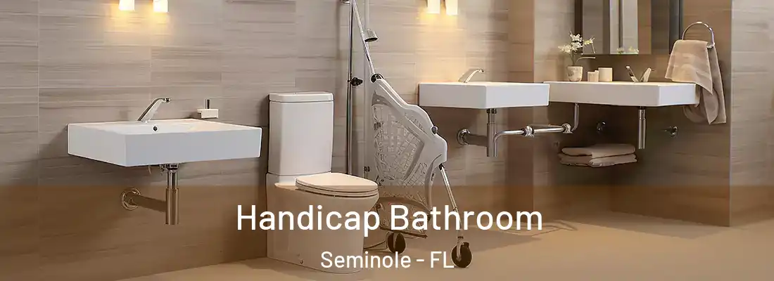 Handicap Bathroom Seminole - FL