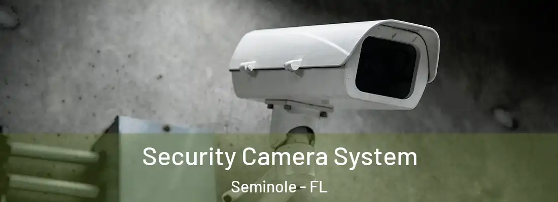 Security Camera System Seminole - FL